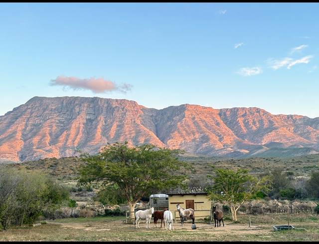 24.40HA FARM FOR SALE IN BARRYDALE